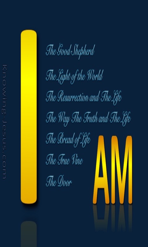 JESUS - I Am Statements In John's Gospel  (blue)